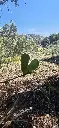Afbeelding van WhatsApp op 2025-06-14 om 14.34.39_25b2f3f1.webp