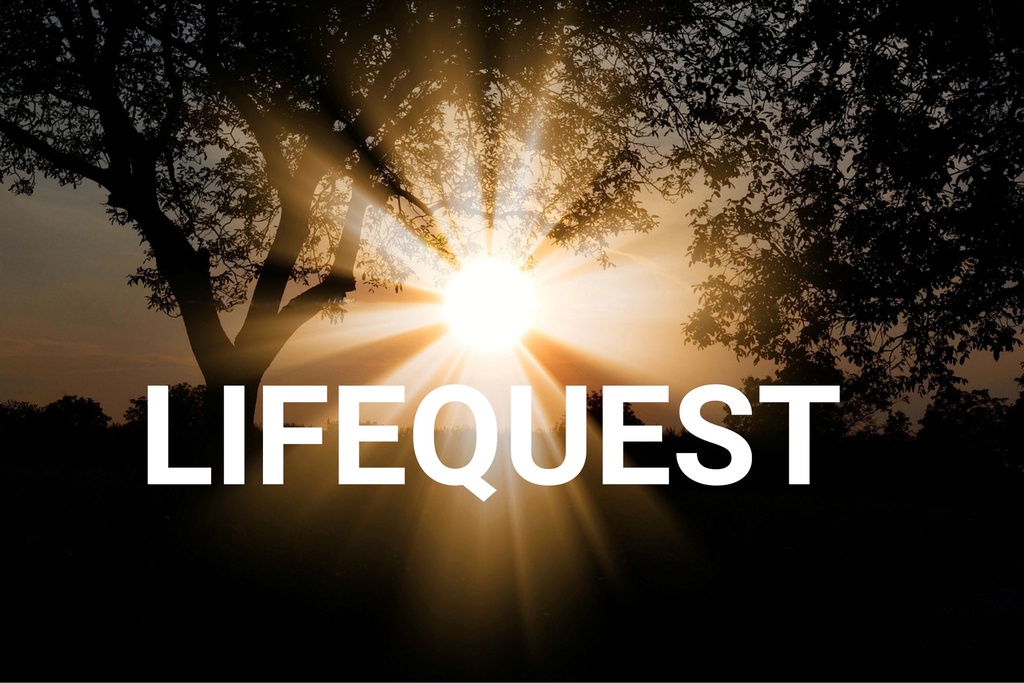 LifeQuest